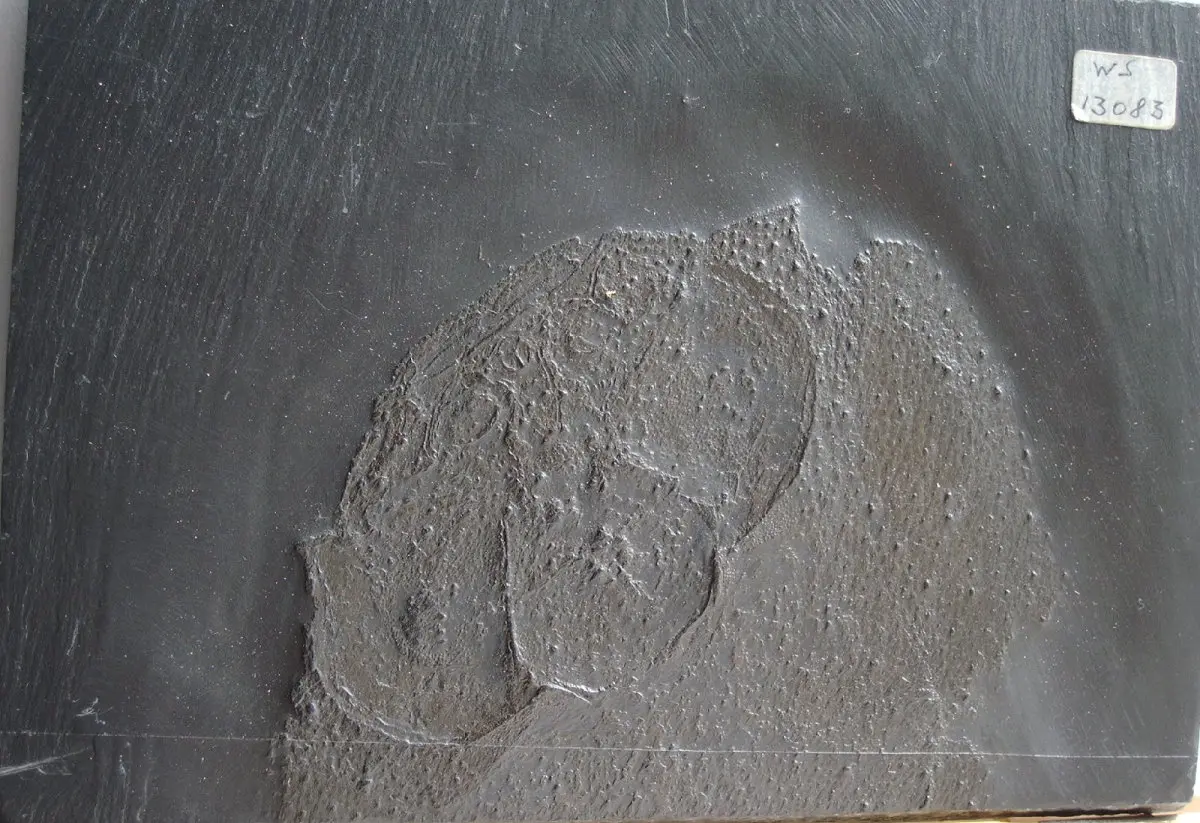 Gemuendiuna_Bundenbach