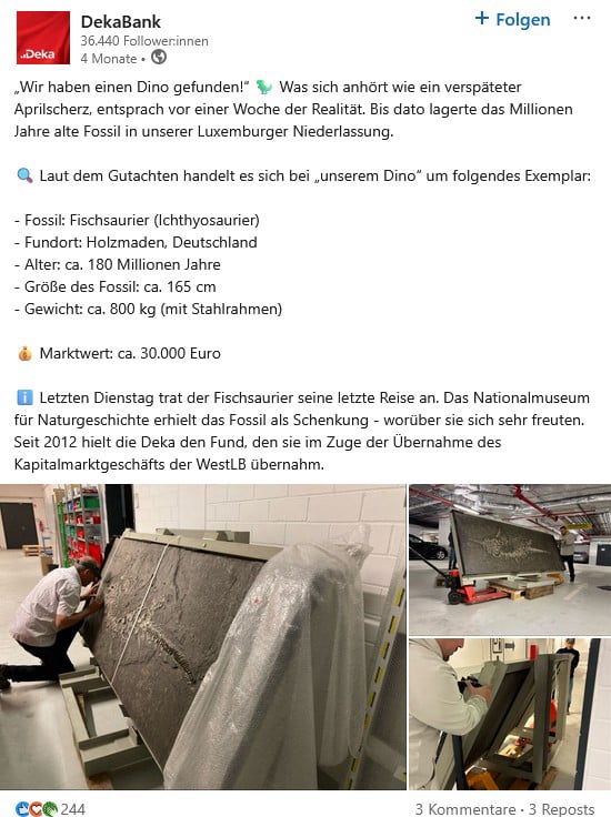 Fischsaurier Pyrit-Sanierung