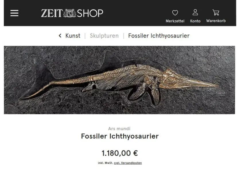 Ichthyosaurier_ZEIT