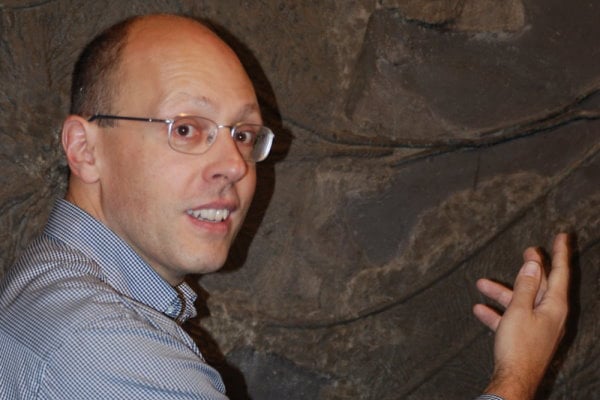 Fossilienankauf_Experte