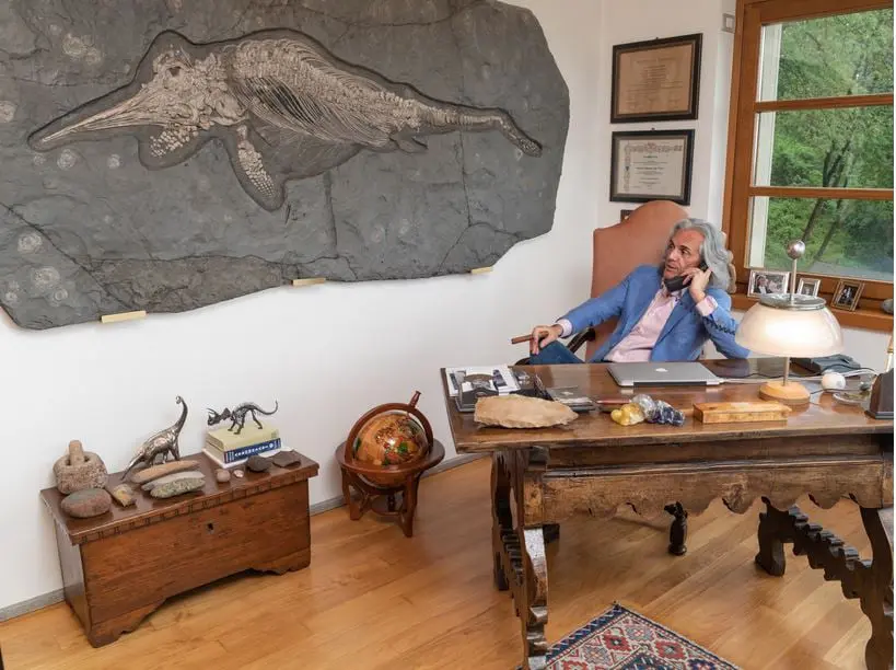 Ichthyosaurier_prestigious fossil