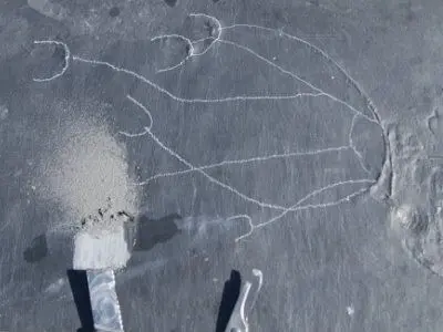 Fossilien_Praeparation_Bundenbach