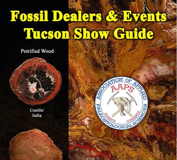 Fossilien_Verkaufen_2018-AAPS-Guide