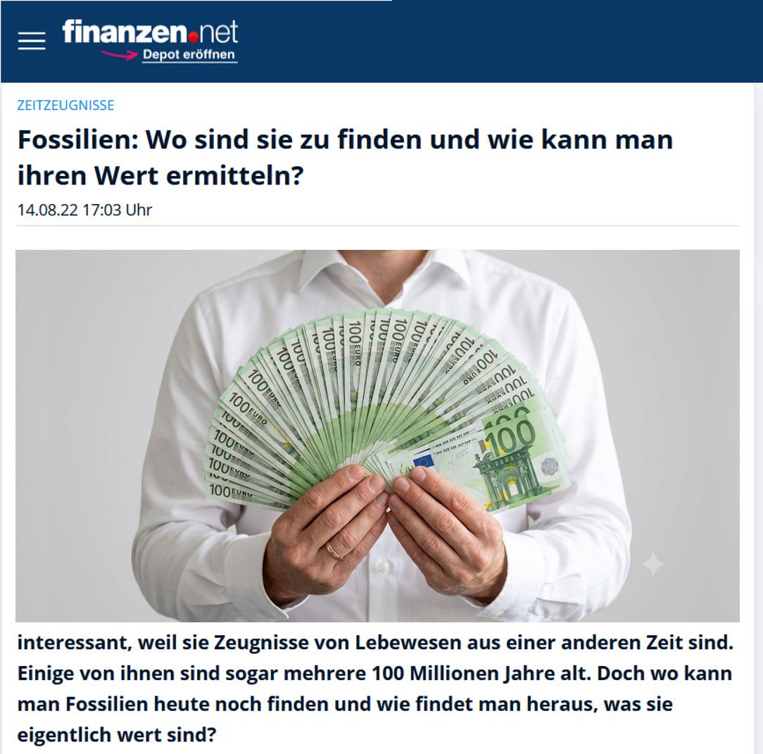 Artikel finanzen zum Thema Wertermittlung Fossilien