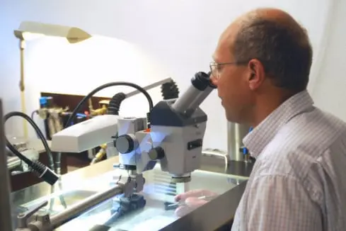 Fossilienankauf_Praeparation