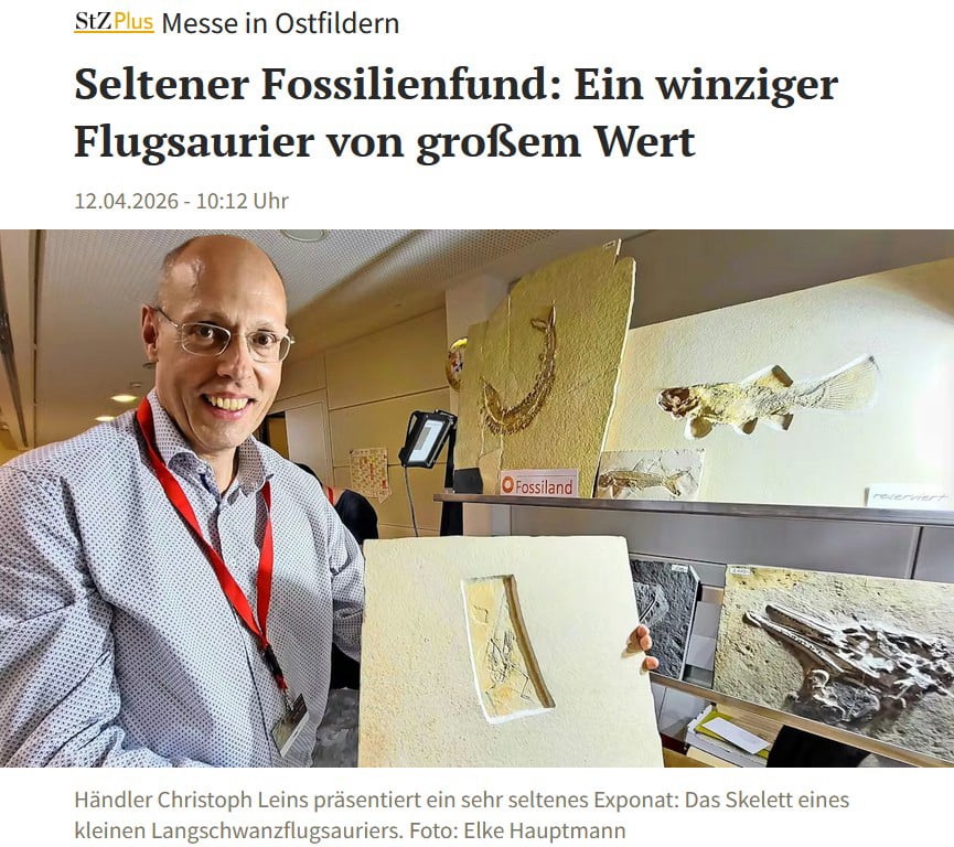 Messestand der Fossilien-Börse mit Highlight: Flugsaurier