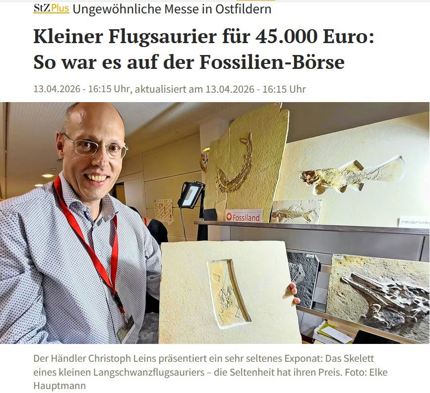 Fossilienvermittlung auf Fossilienbörse und Fachmessen